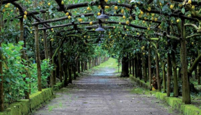 Гостиница Agriturismo Il Convento  Масса-Лубренсе